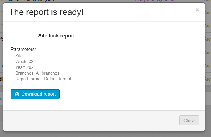 asynchronous reports 2