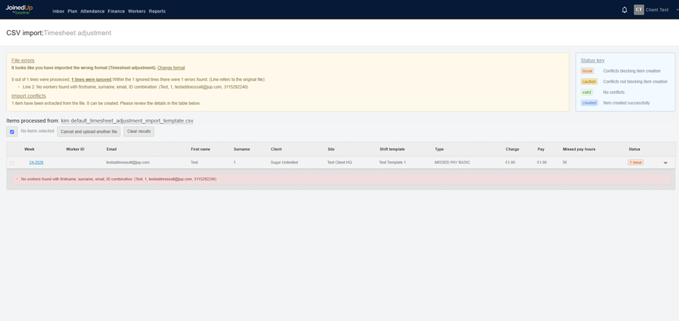 timesheet adjustment importer 4