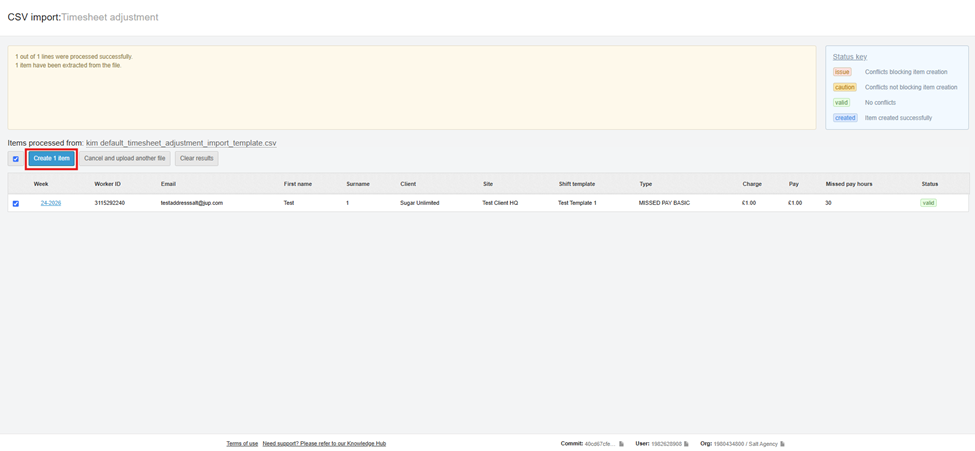 timesheet adjustment importer 5